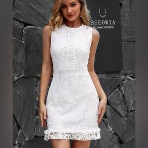 Yilibasha lined lace dress NWT SZ L